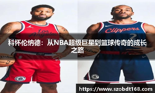 jjb竞技宝网址